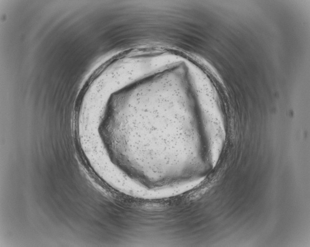 X0000086090839200704202214