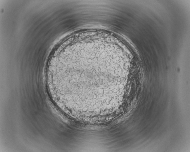 X0000086090840200704202214