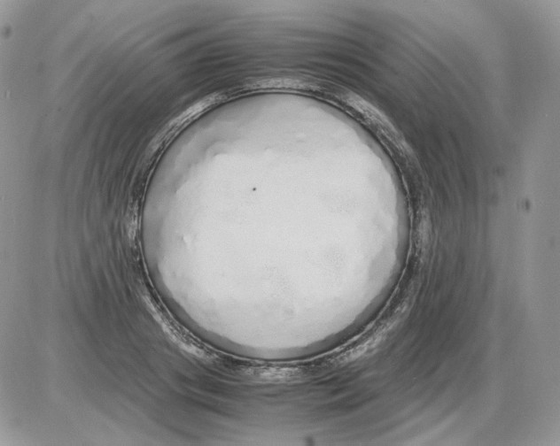 X0000086090841200704202214