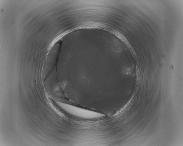 X0000086090842200704202214