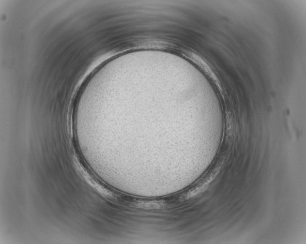 X0000086090843200704202214