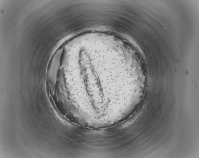 X0000086090845200704202214