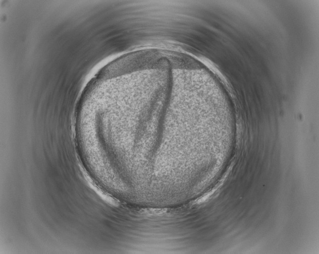 X0000086090846200704202214