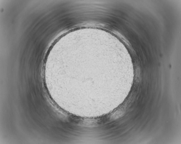 X0000086090848200704202214