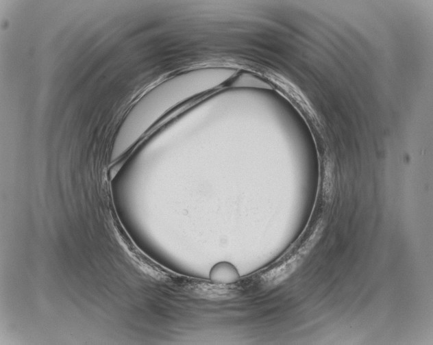 X0000086090849200704202214