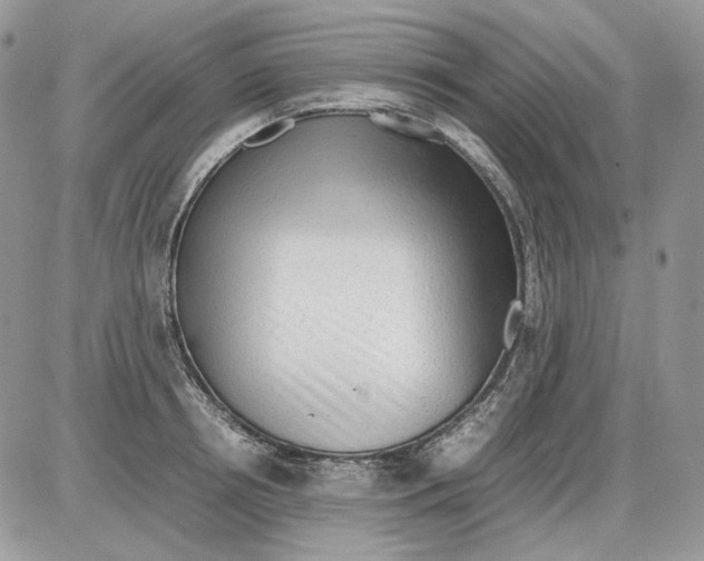 X0000086090850200704202214