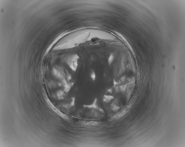 X0000086090851200704202214