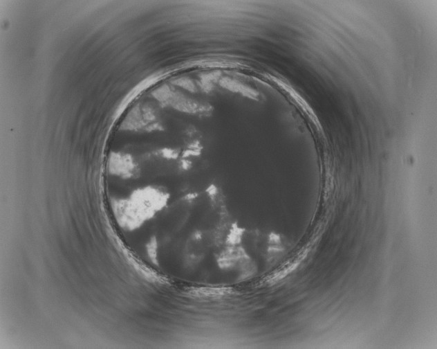 X0000086090853200704202214