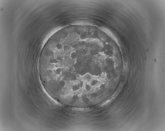 X0000086090855200704202214