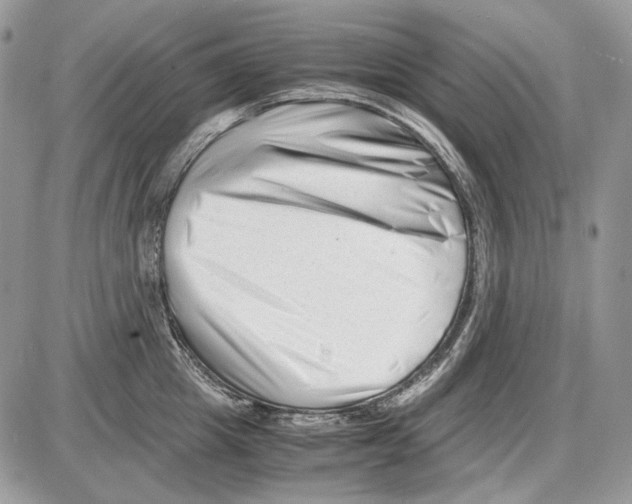 X0000086090857200704202214