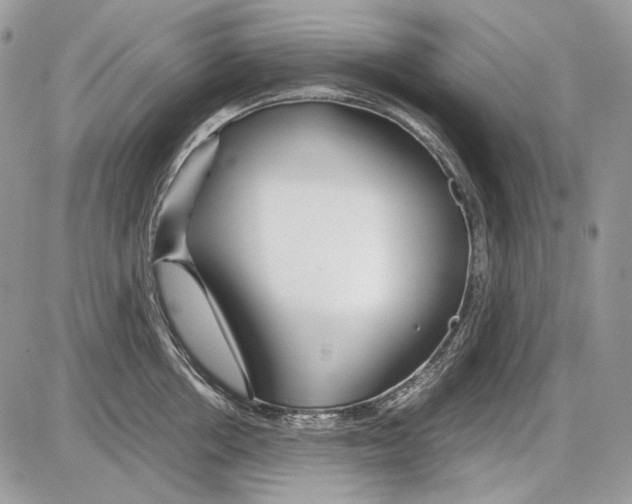 X0000086090858200704202214