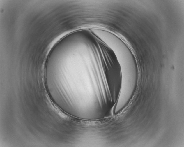 X0000086090862200704202214