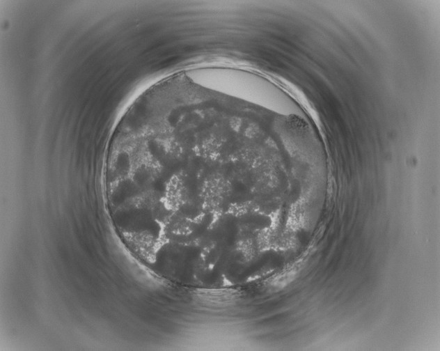 X0000086090863200704202214