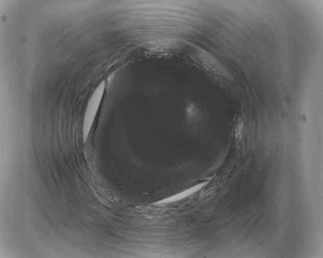 X0000086090868200704202214