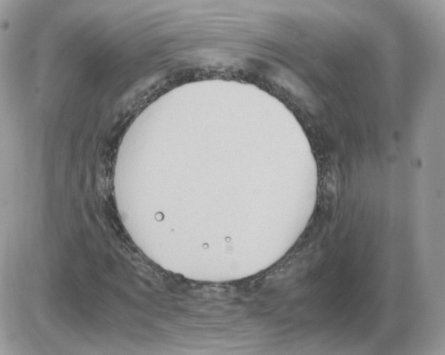 X0000086090869200704202213