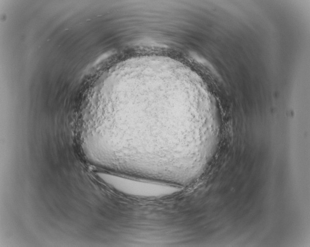 X0000086090870200704202213