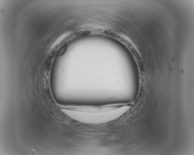 X0000086090871200704202213