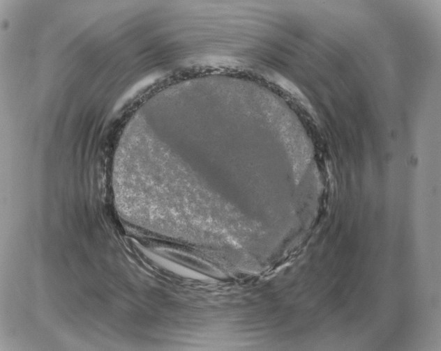 X0000086090872200704202213