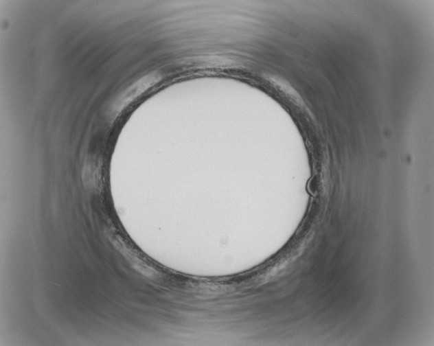 X0000086090873200704202213