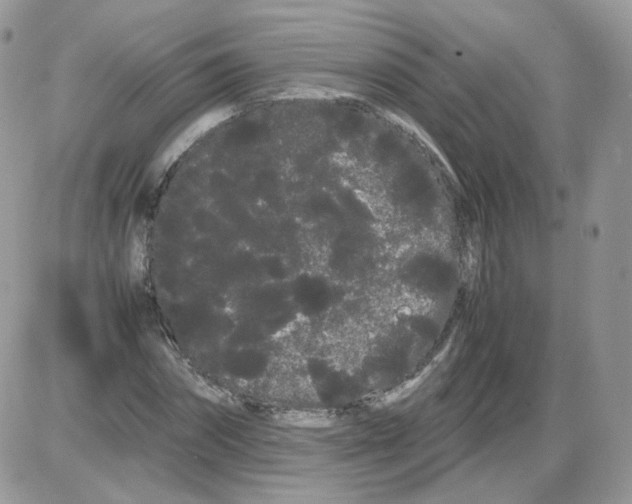 X0000086090874200704202213