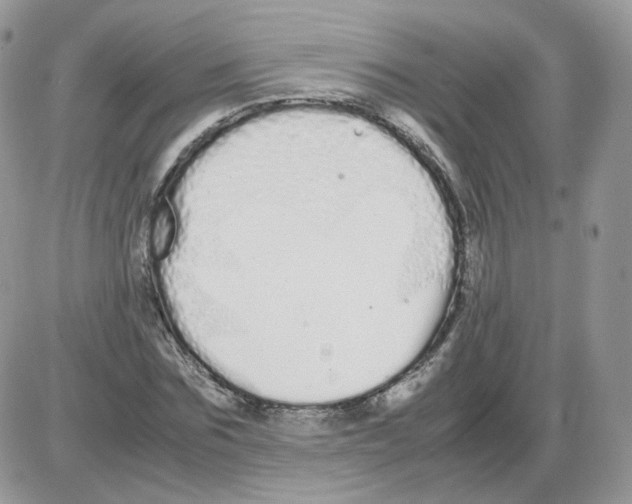 X0000086090875200704202213