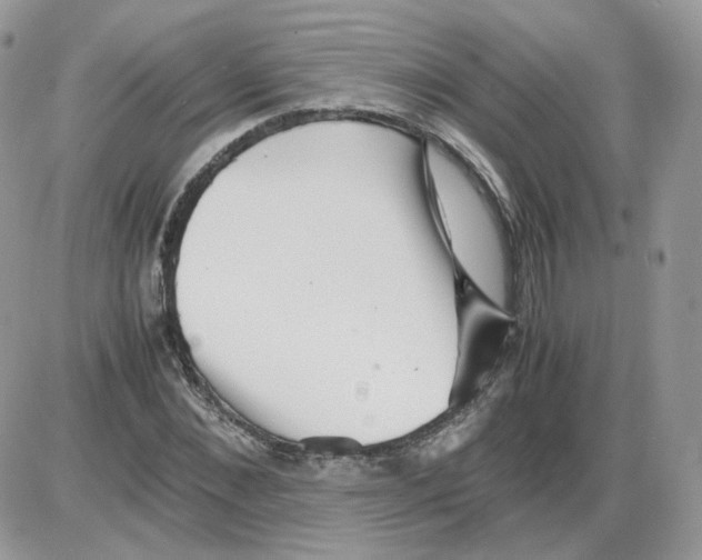 X0000086090876200704202213