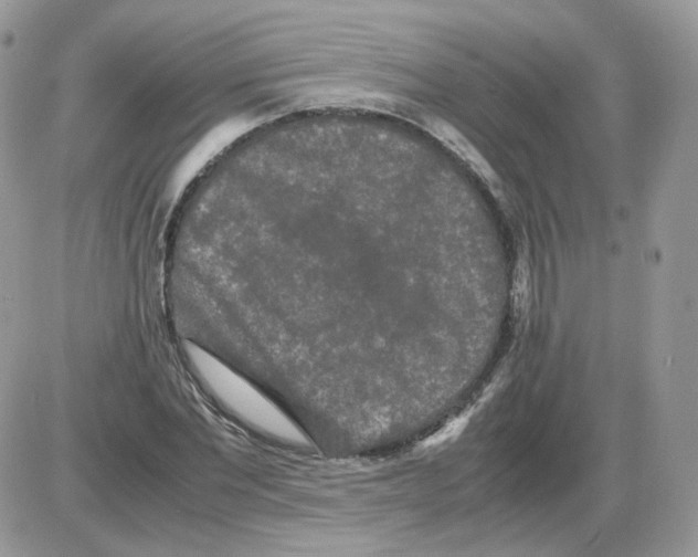 X0000086090877200704202213