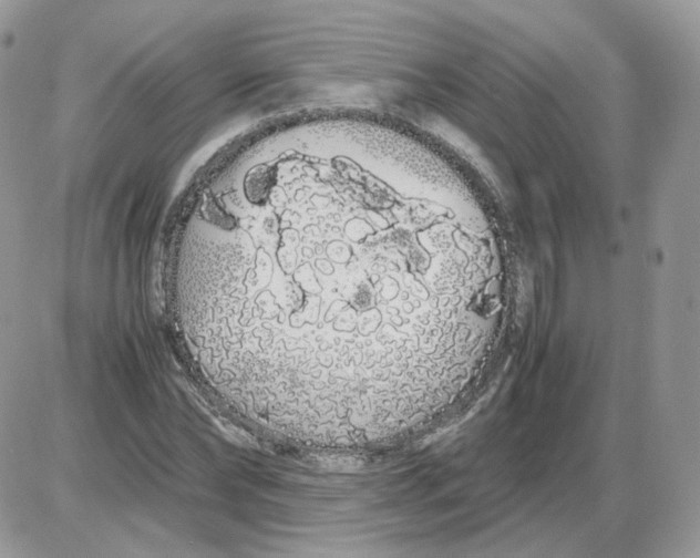 X0000086090878200704202213