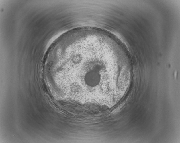 X0000086090879200704202213