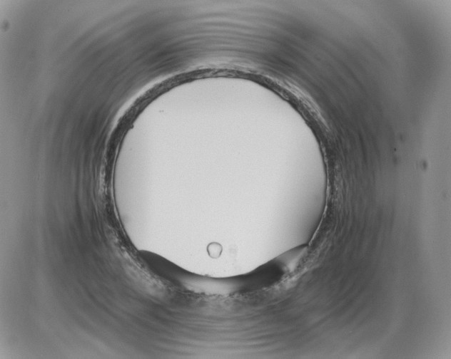 X0000086090880200704202213