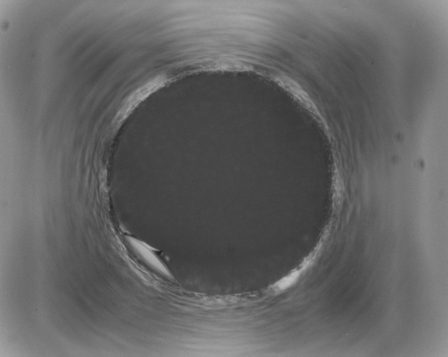 X0000086090881200704202213