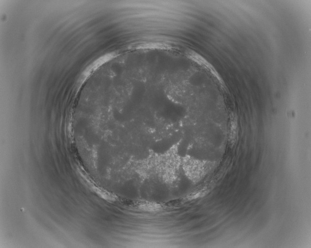 X0000086090882200704202213