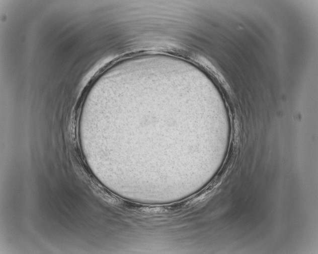 X0000086090883200704202213