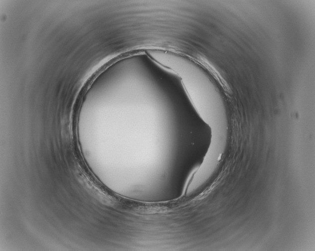 X0000086090884200704202213