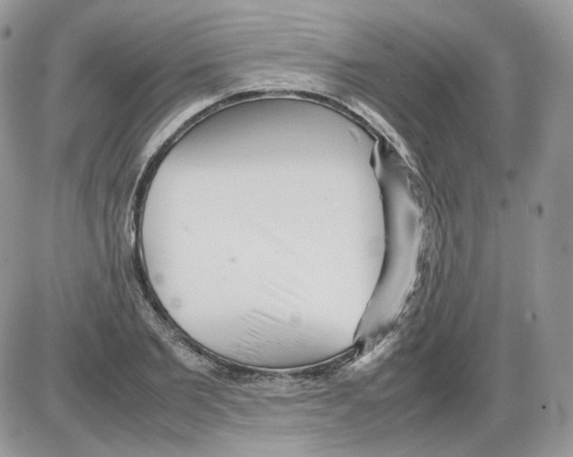 X0000086090885200704202213