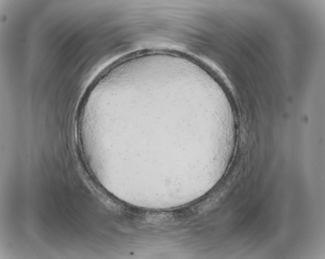 X0000086090887200704202213