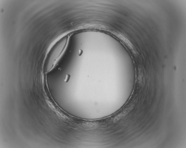 X0000086090888200704202213