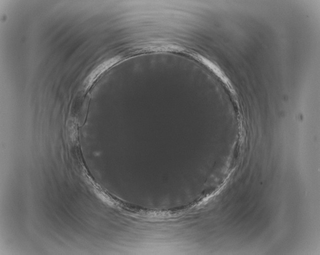 X0000086090889200704202213