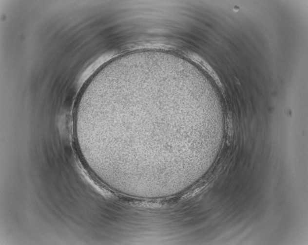 X0000086090890200704202213