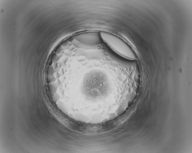 X0000086090891200704202213