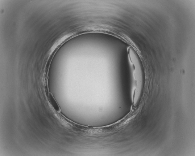 X0000086090893200704202213