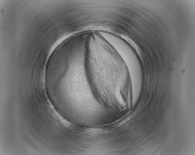 X0000086090894200704202213