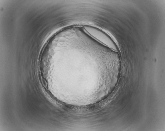 X0000086090895200704202213