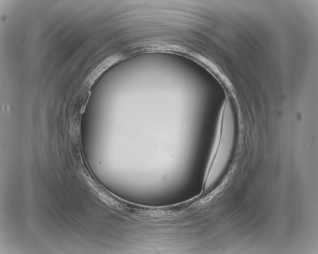 X0000086090897200704202213