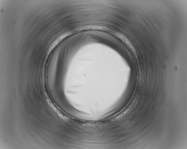 X0000086090898200704202213