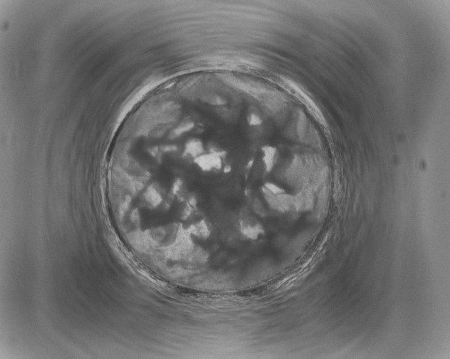 X0000086090899200704202213