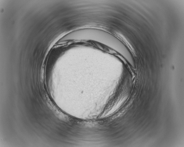 X0000086090900200704202213