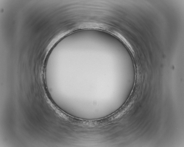 X0000086090901200704202213