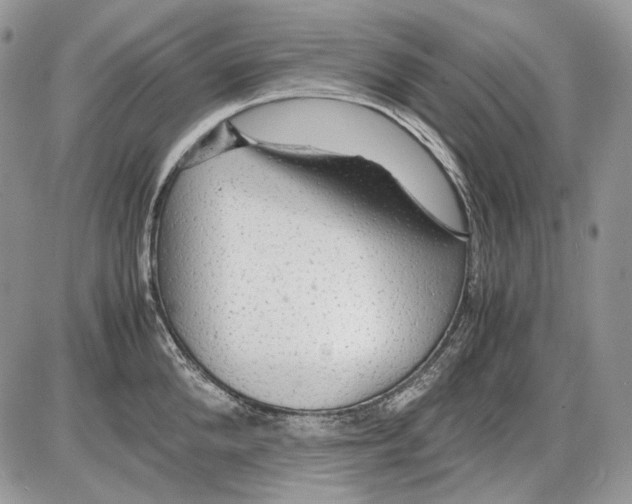 X0000086090904200704202213