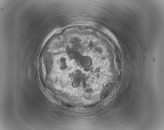 X0000086090907200704202213